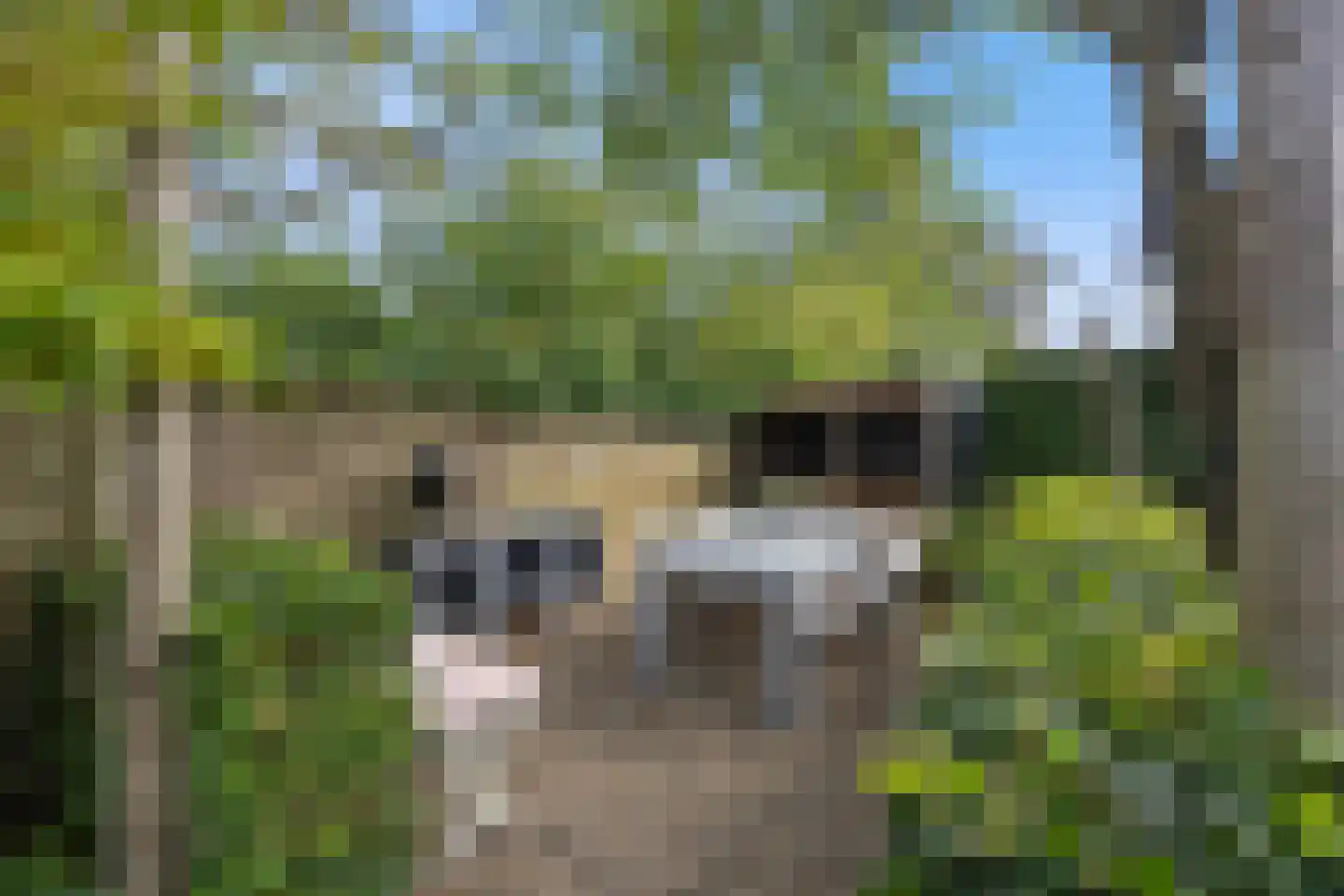 Kleinestraat 23 Drunen thumbnail 61