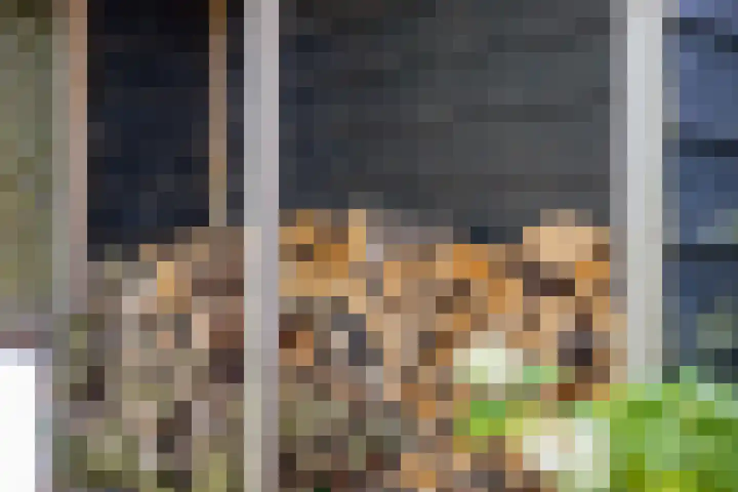 Kleinestraat 23 Drunen thumbnail 63