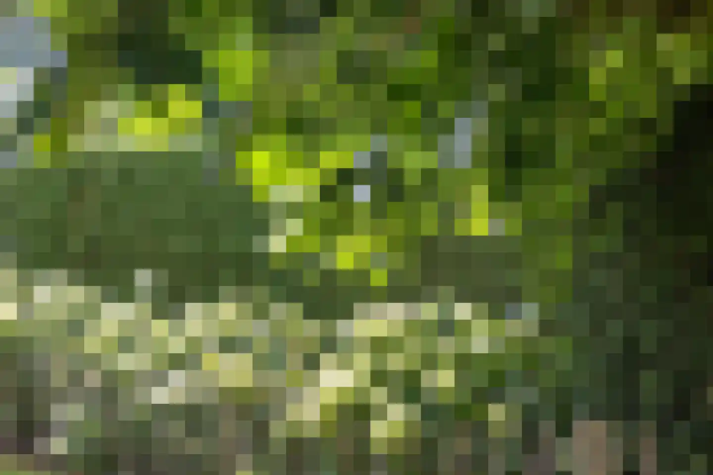 Kleinestraat 23 Drunen thumbnail 67