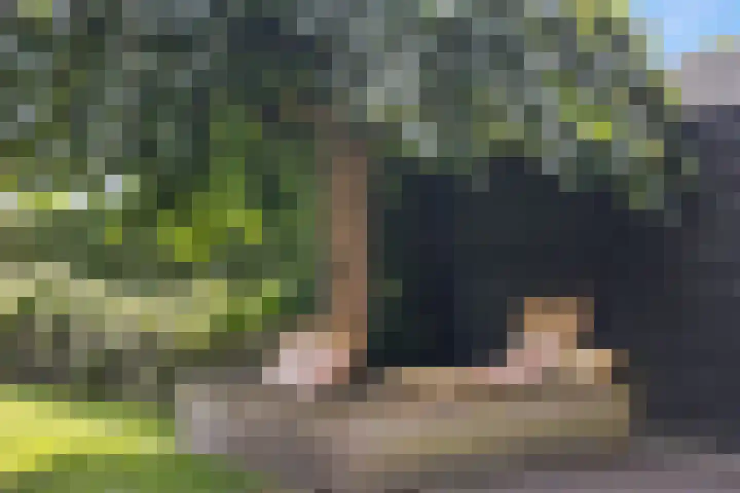 Kleinestraat 23 Drunen thumbnail 68