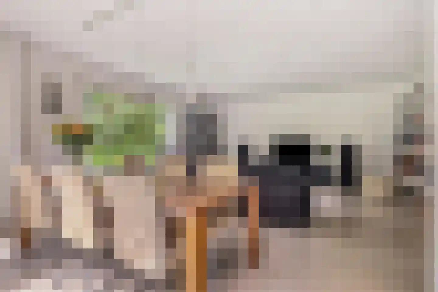 Kleinewei 8 Goes thumbnail 20
