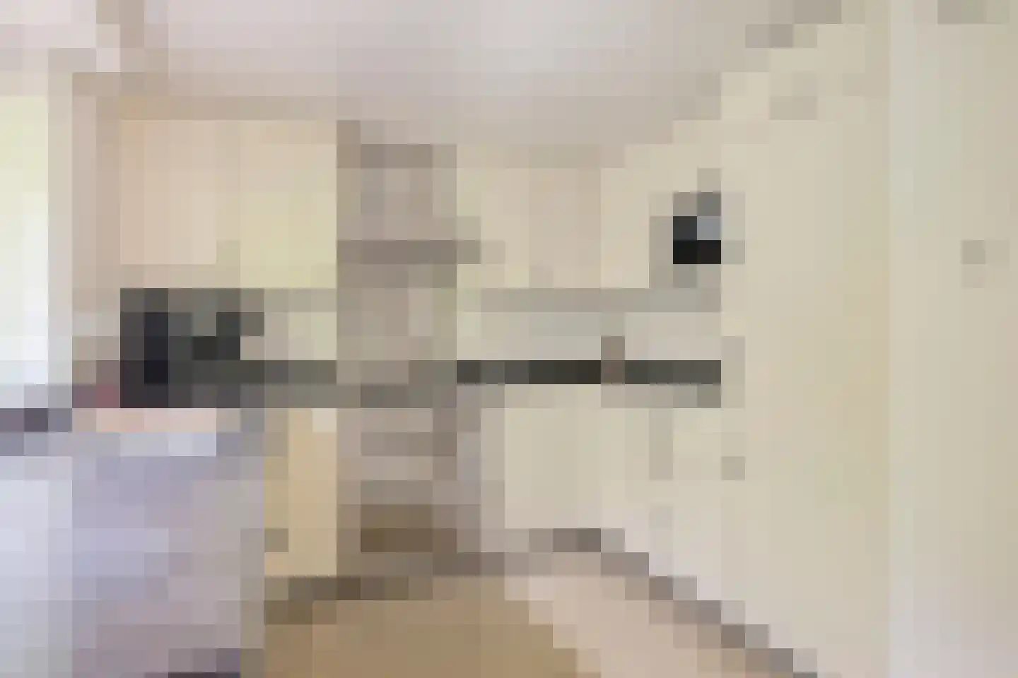 Kleinewei 8 Goes thumbnail 23