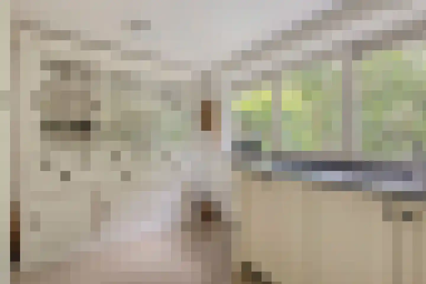 Kleinewei 8 Goes thumbnail 25