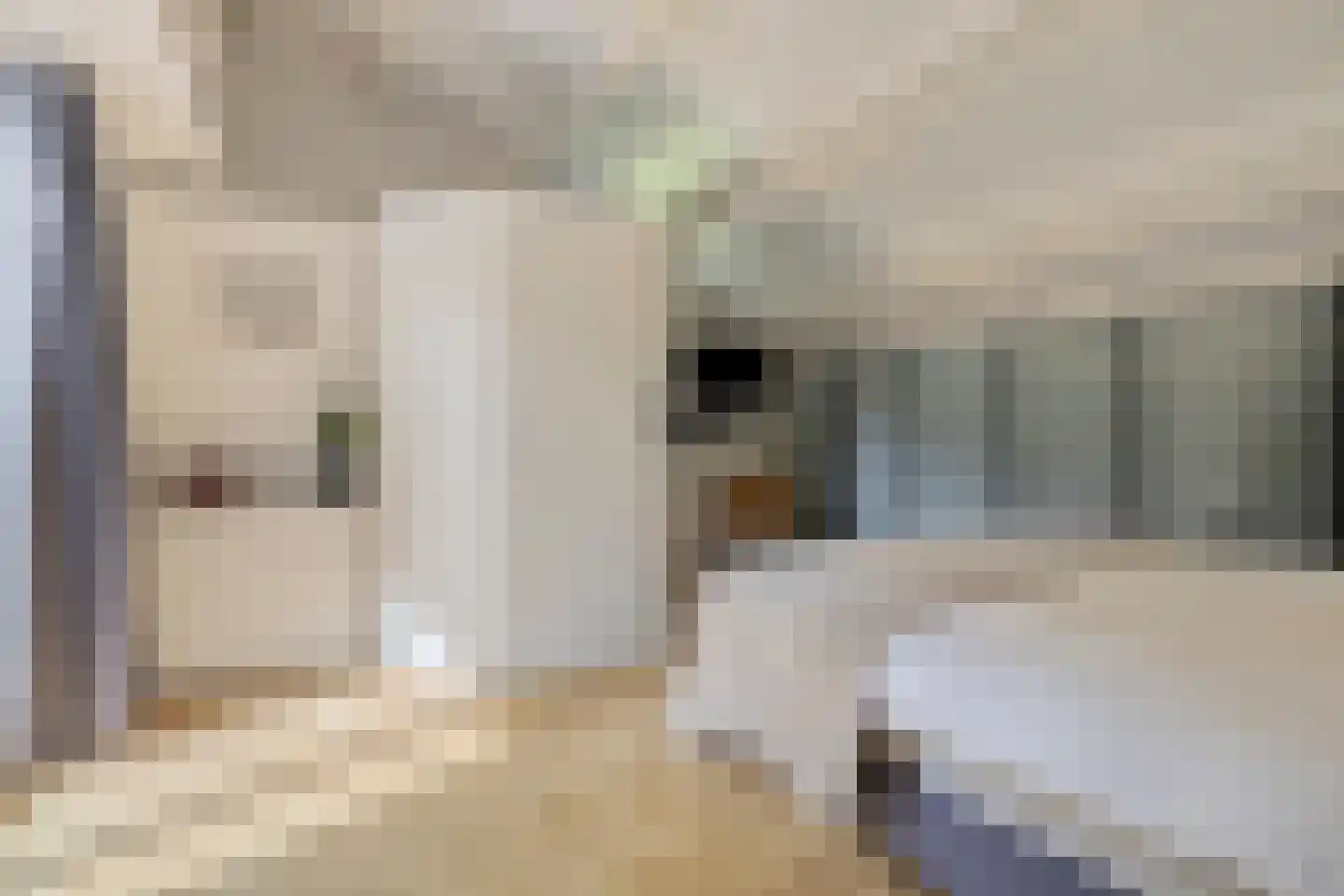 Kleinewei 8 Goes thumbnail 31