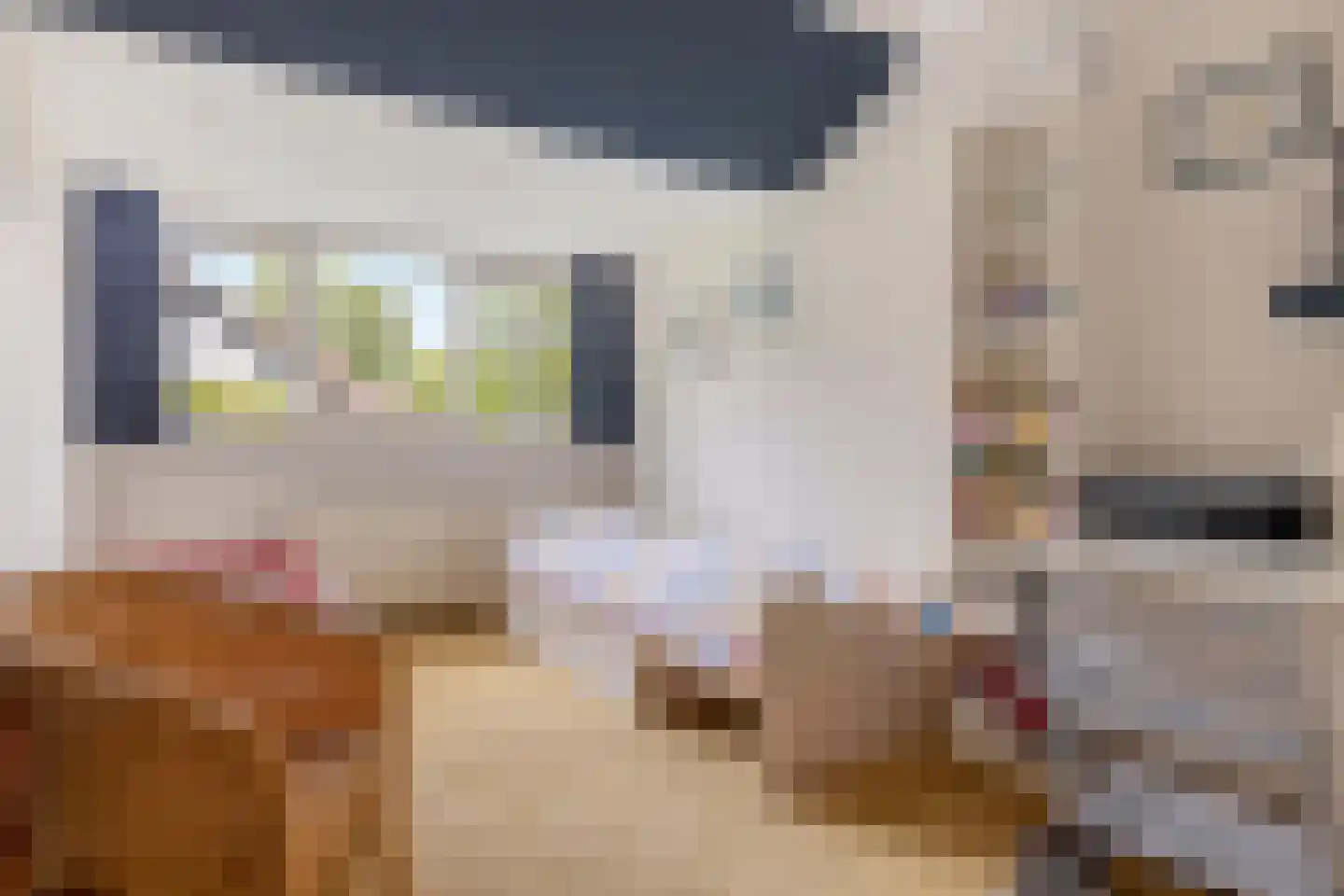Kleinewei 8 Goes thumbnail 41