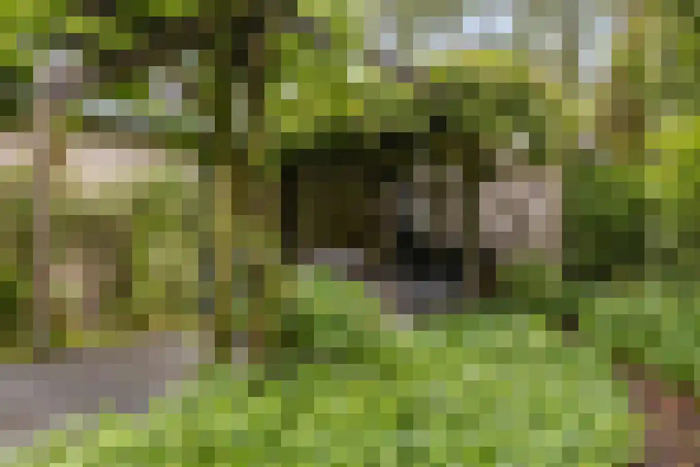 Kleinewei 8 Goes thumbnail 46