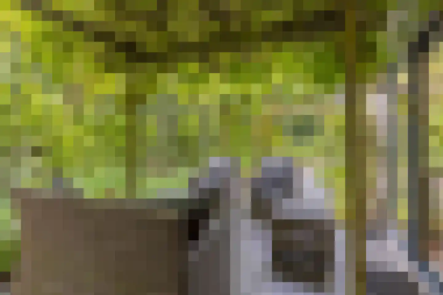Kleinewei 8 Goes thumbnail 47