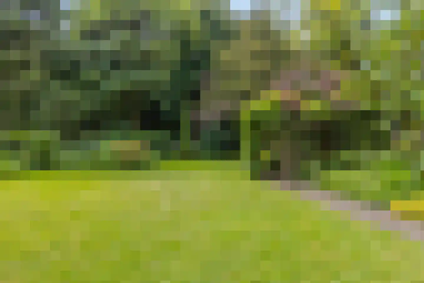 Kleinewei 8 Goes thumbnail 49