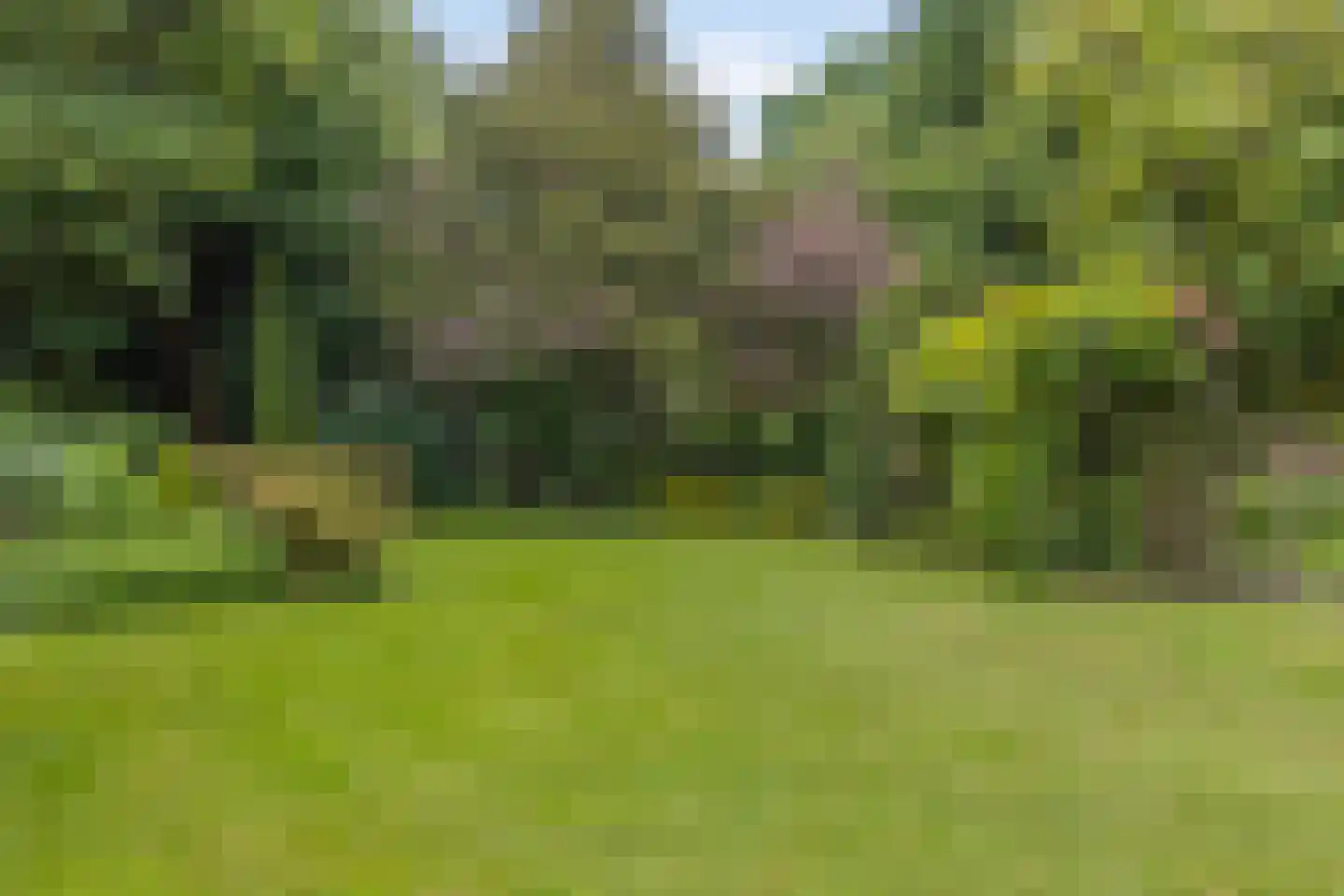 Kleinewei 8 Goes thumbnail 50
