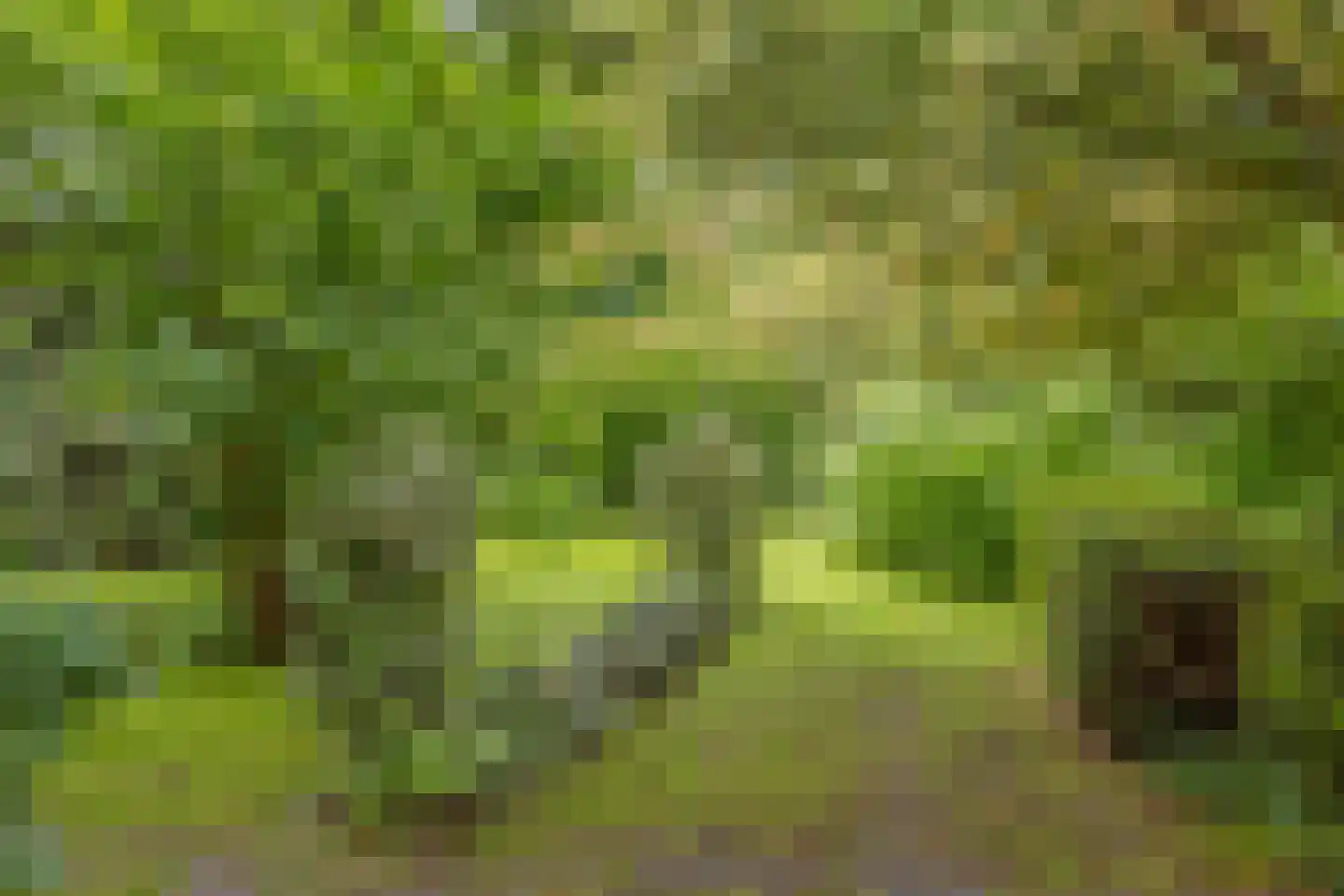 Kleinewei 8 Goes thumbnail 53