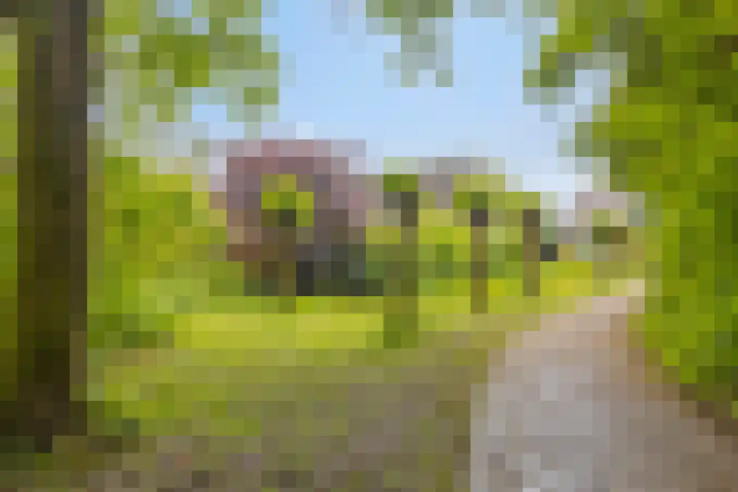 Kleinewei 8 Goes thumbnail 55