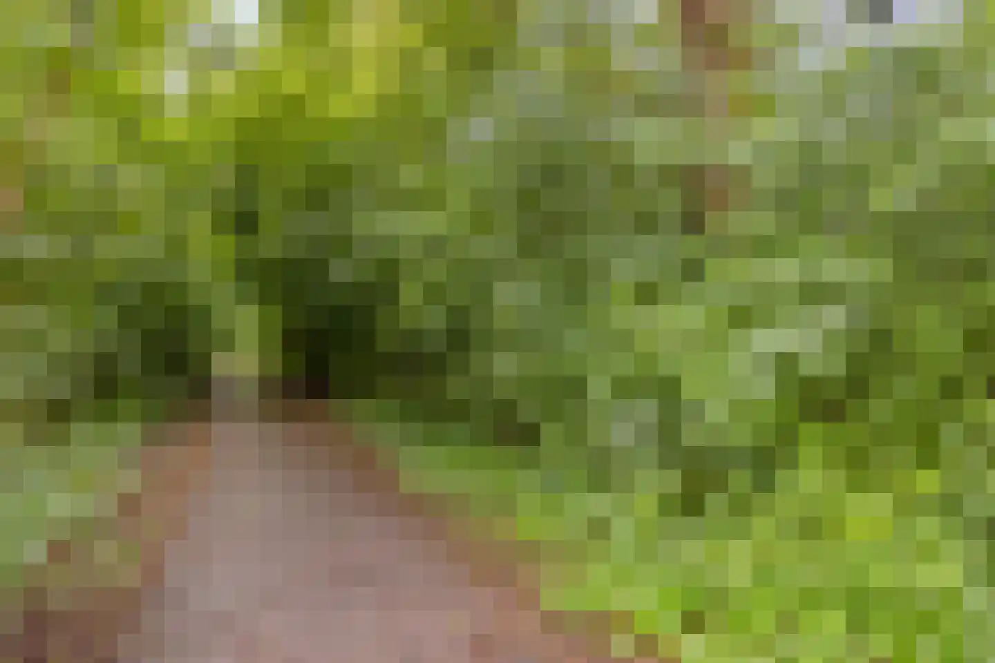 Kleinewei 8 Goes thumbnail 56