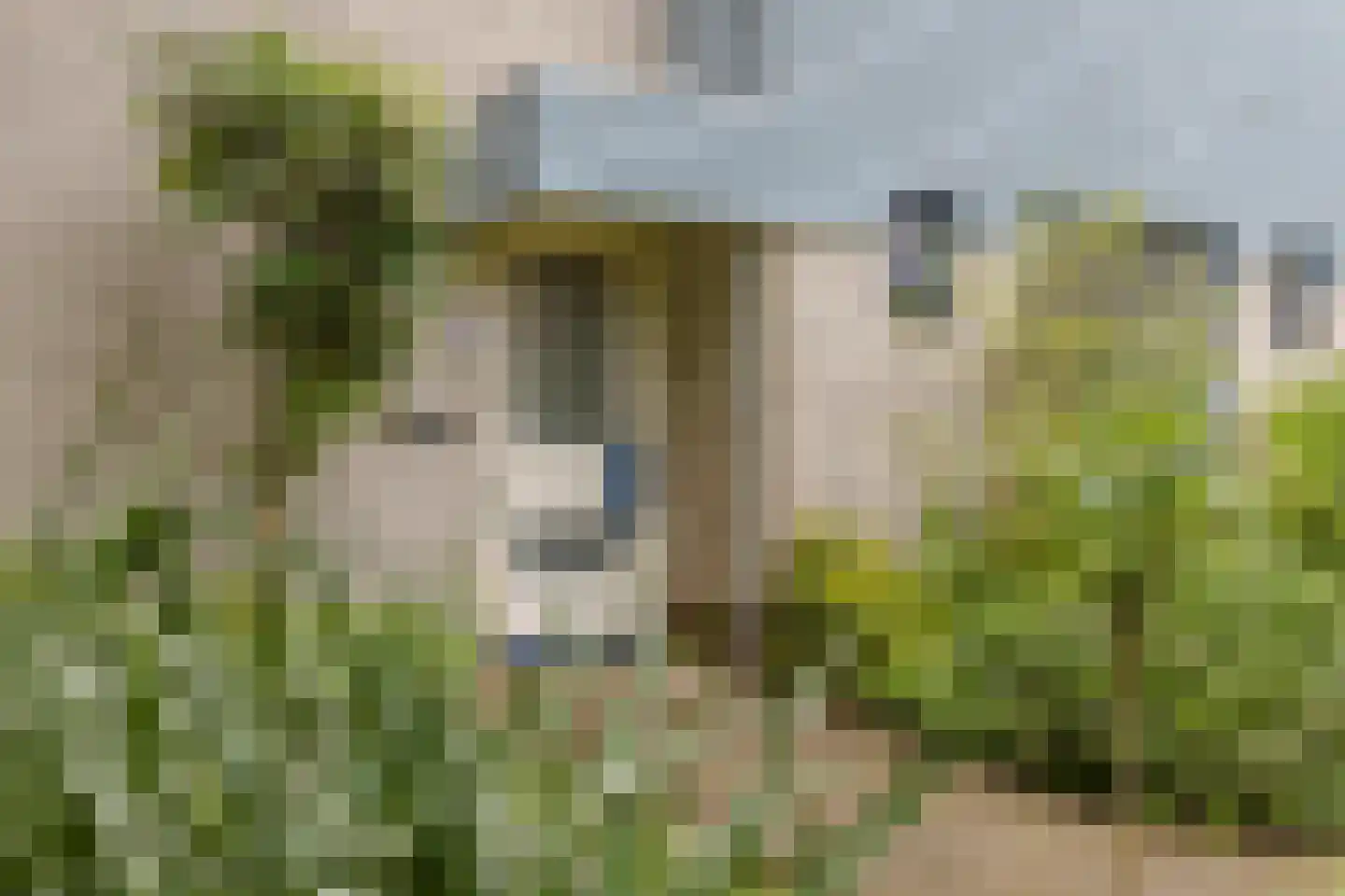 Kleinewei 8 Goes thumbnail 7