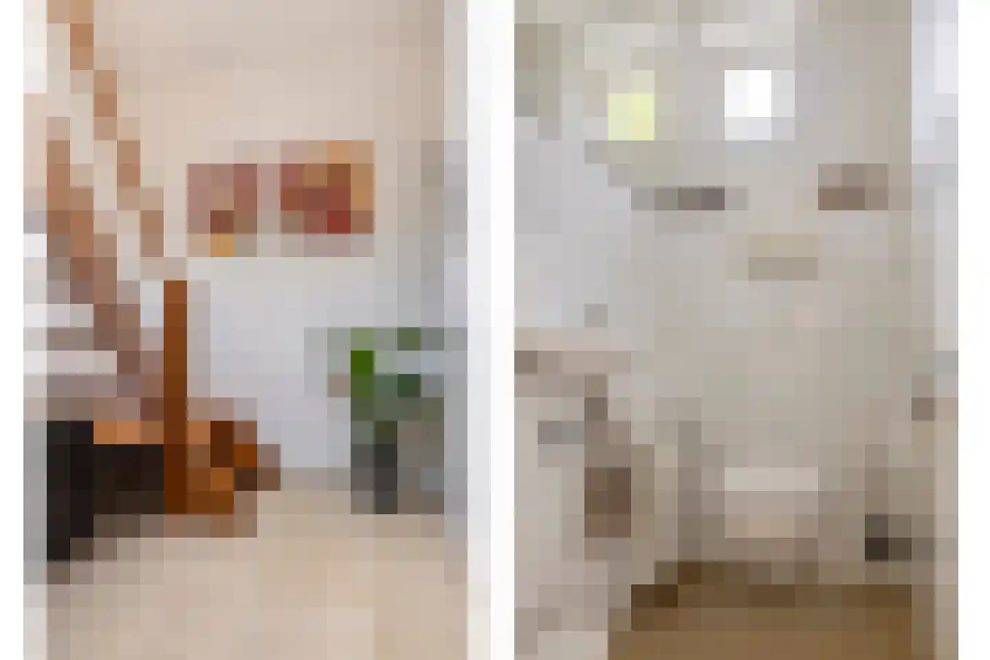 Kleinewei 8 Goes thumbnail 9