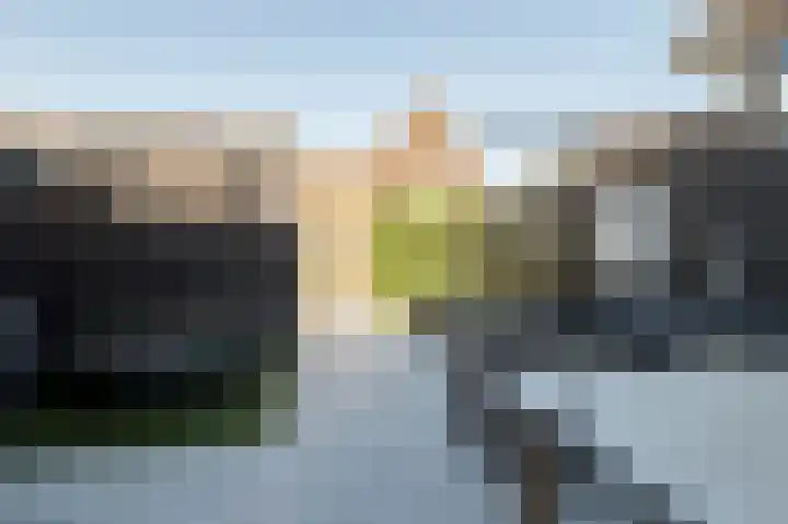 Kleingeel 13 Elst Ut thumbnail 14