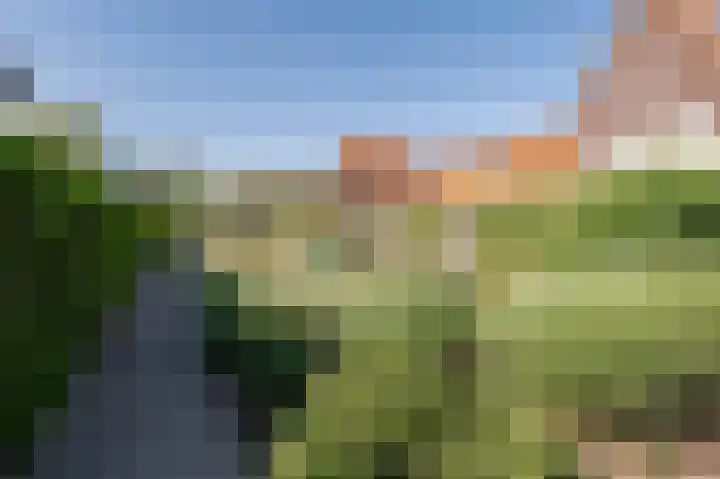 Kleingeel 13 Elst Ut thumbnail 19