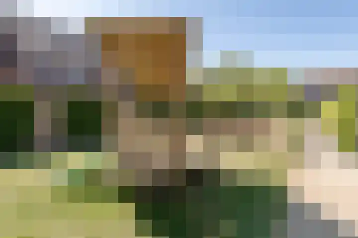 Kleingeel 13 Elst Ut thumbnail 20