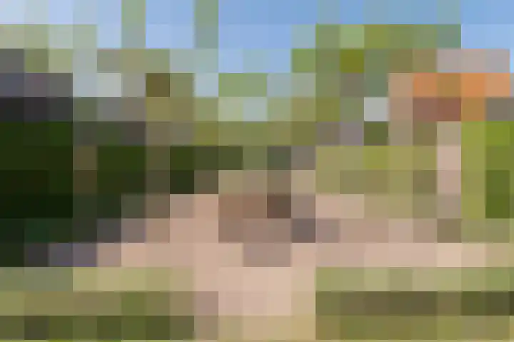 Kleingeel 13 Elst Ut thumbnail 21