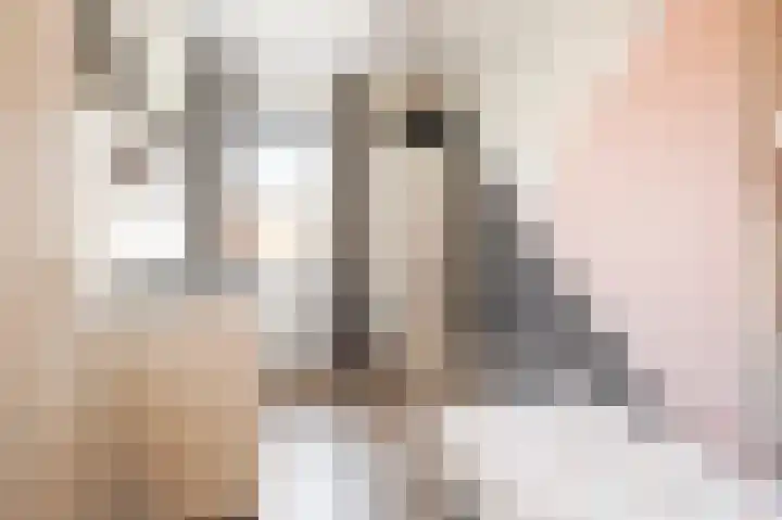 Kleingeel 13 Elst Ut thumbnail 29
