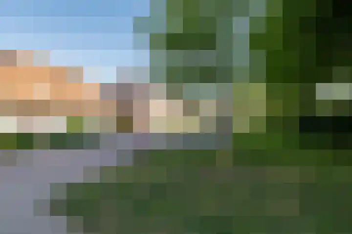 Kleingeel 13 Elst Ut thumbnail 36