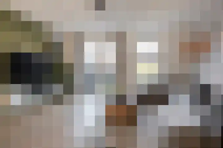 Kleingeel 13 Elst Ut thumbnail 9