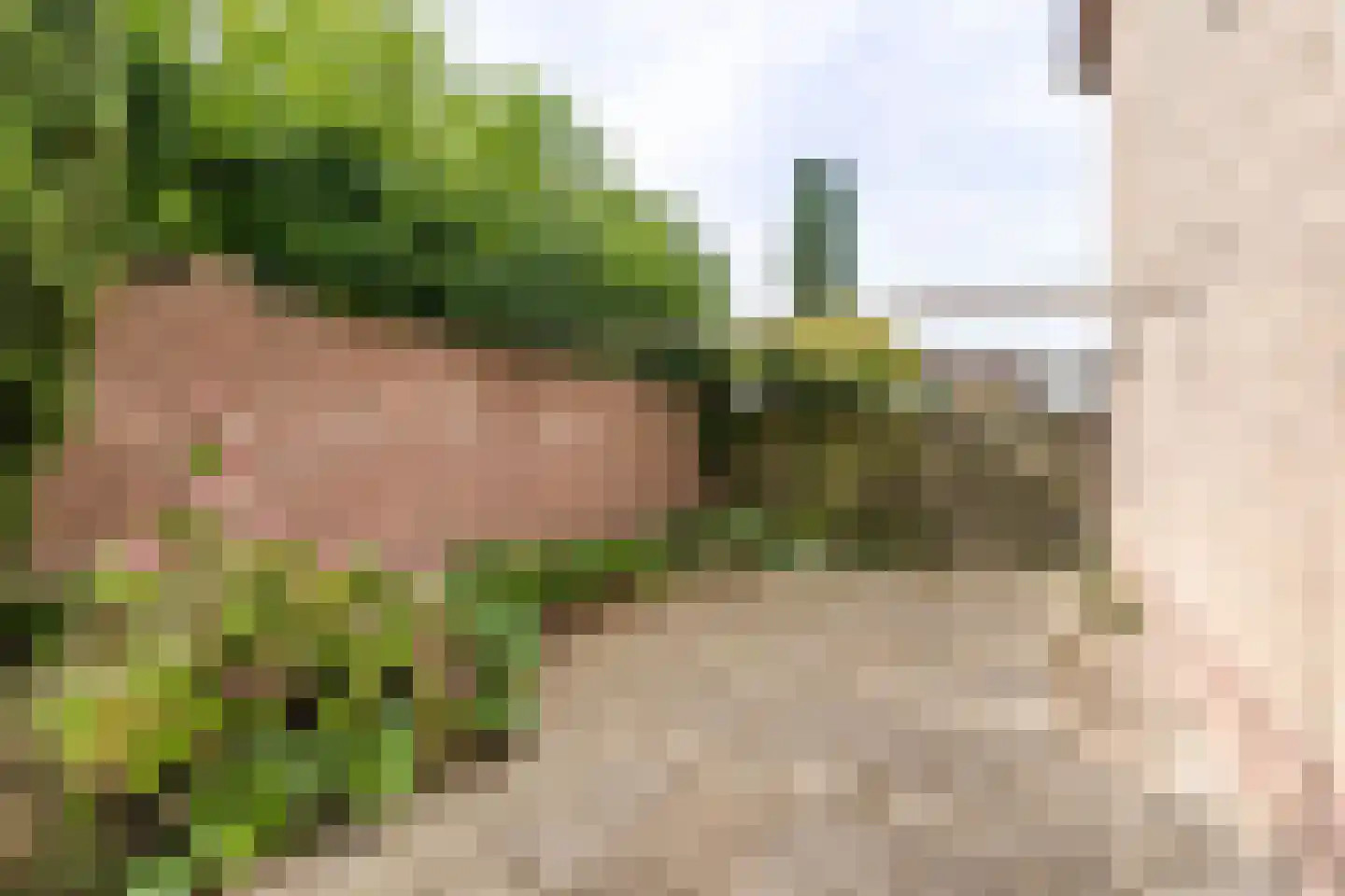 Kleingenhoutersteeg 21 Hulsberg thumbnail 25