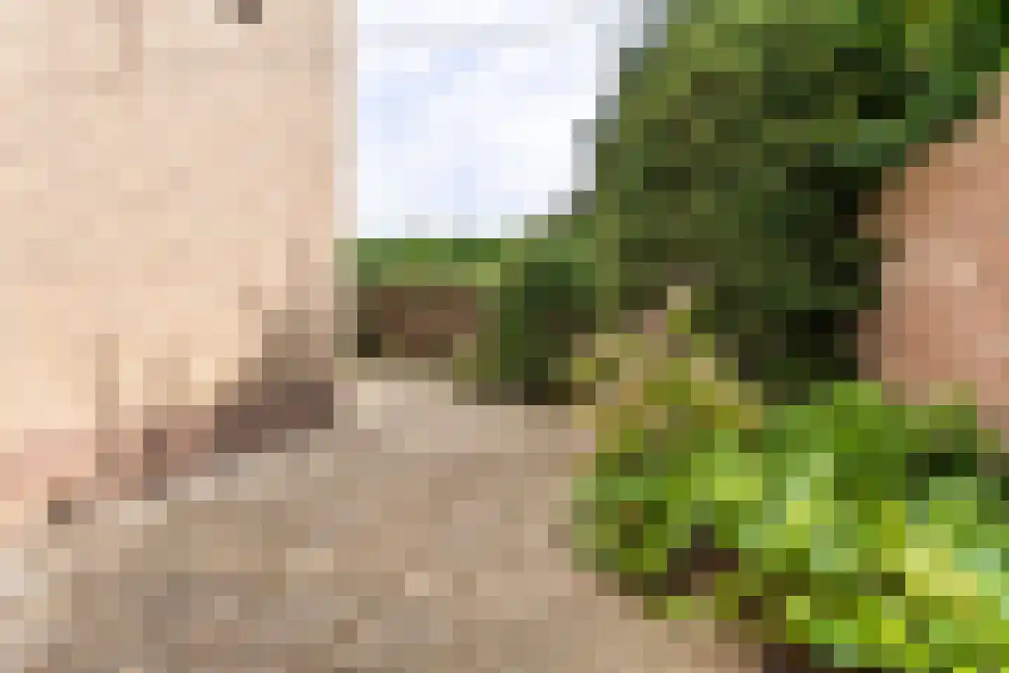 Kleingenhoutersteeg 21 Hulsberg thumbnail 27