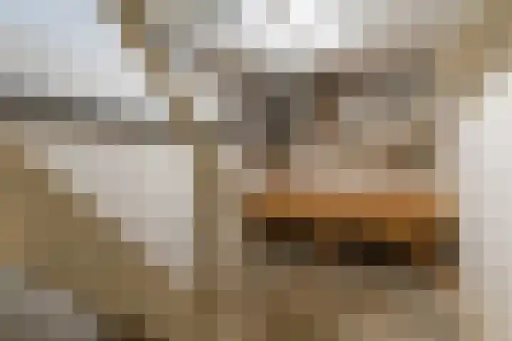 Kleingenhouterstraat 26 Beek thumbnail 19
