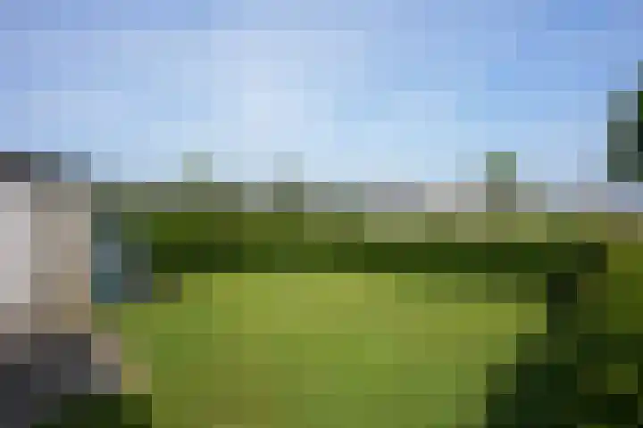 Kleingenhouterstraat 28 Beek thumbnail 23