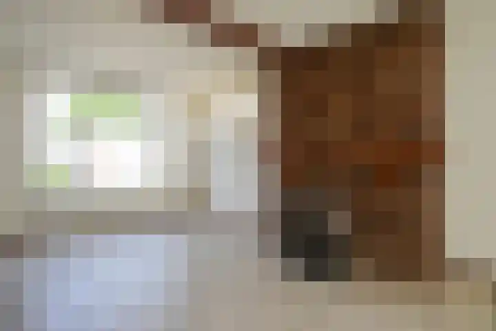Kleingenhouterstraat 28 Beek thumbnail 5
