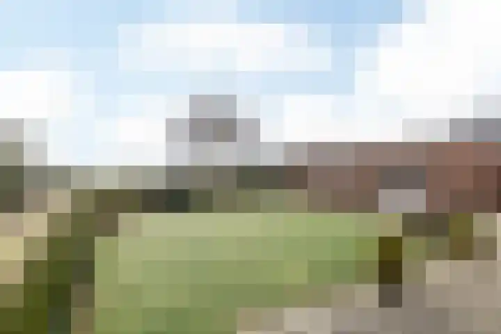 Kleingenhouterstraat 36 Beek thumbnail 24