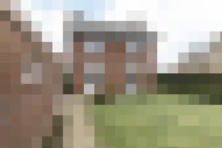 Kleingenhouterstraat 36 Beek thumbnail 29