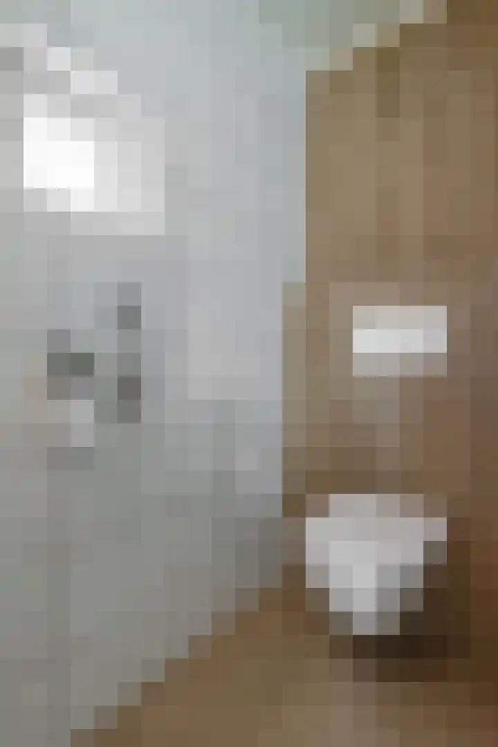 Kleingenhouterstraat 40 Beek thumbnail 14