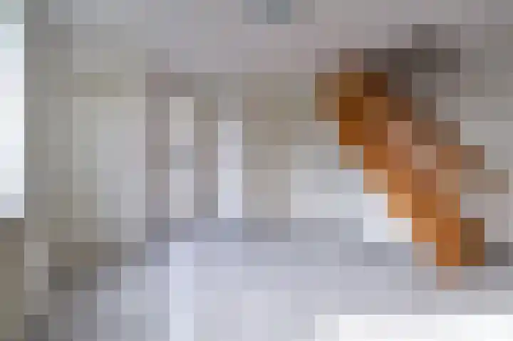 Kleingenhouterstraat 40 Beek thumbnail 4