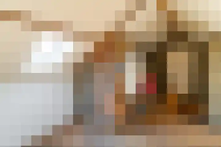 Kleingenhouterstraat 41 Beek thumbnail 20
