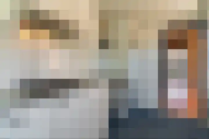 Kleingenhouterstraat 41 Beek thumbnail 8