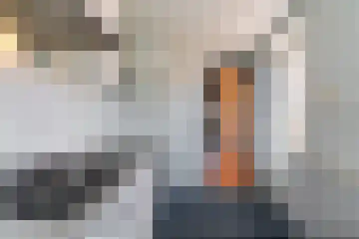 Kleingenhouterstraat 41 Beek thumbnail 9