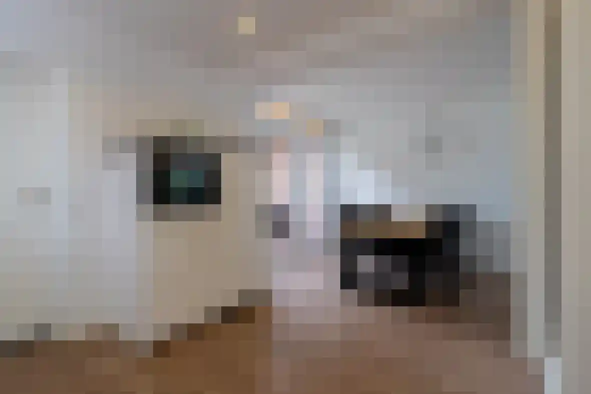 Kleingenhouterstraat 55 Beek thumbnail 12