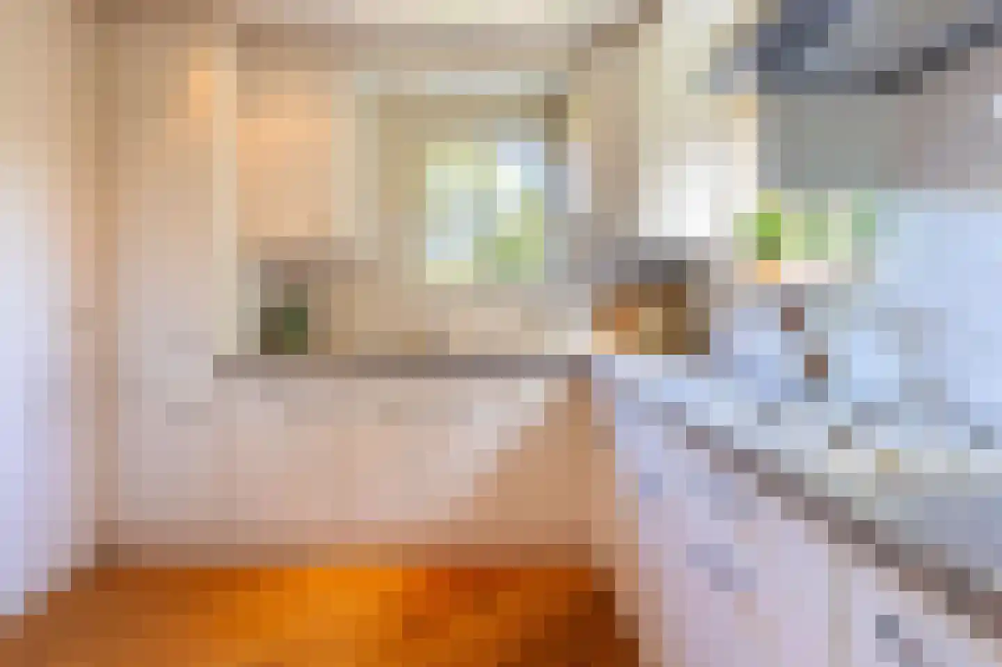 Kleingouw 177 a Andijk thumbnail 22