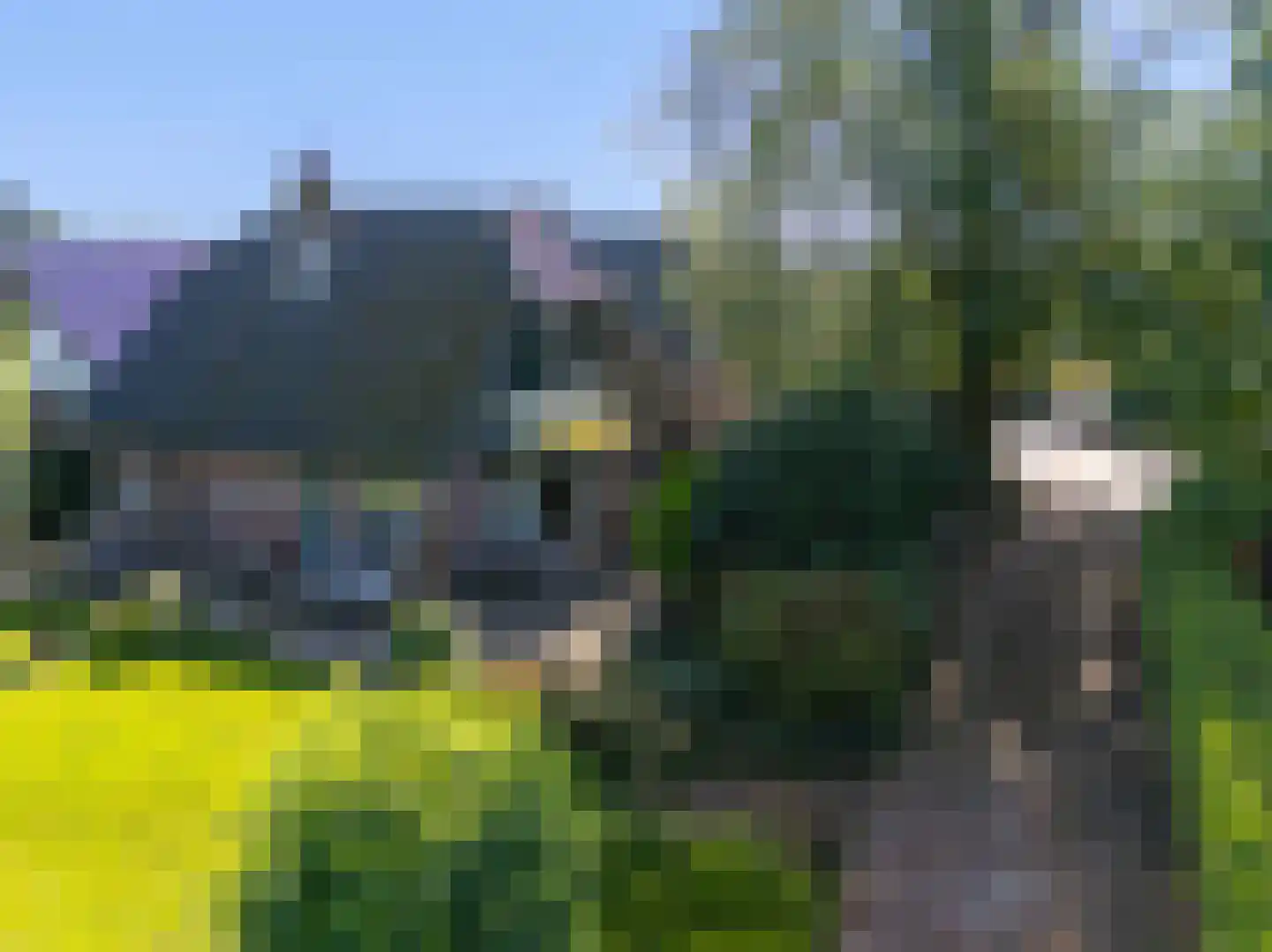 Kleingouw 177 a Andijk thumbnail 6