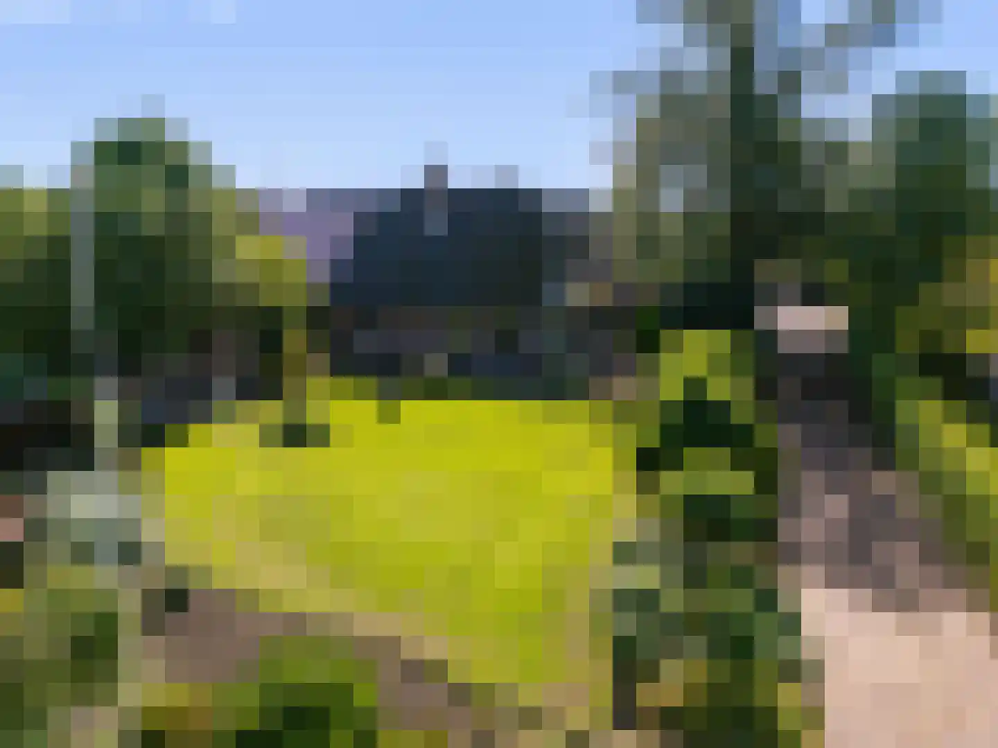 Kleingouw 177 a Andijk thumbnail 7