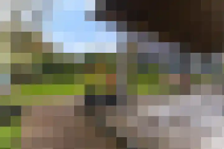 Kleingouw 180 Andijk thumbnail 34