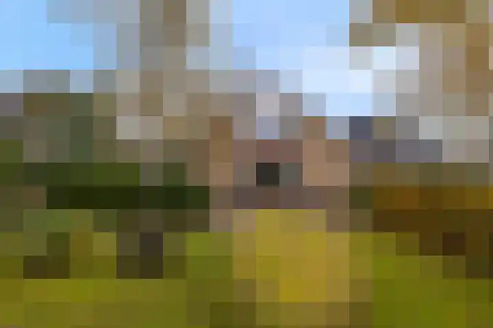 Kleingouw 180 Andijk thumbnail 52