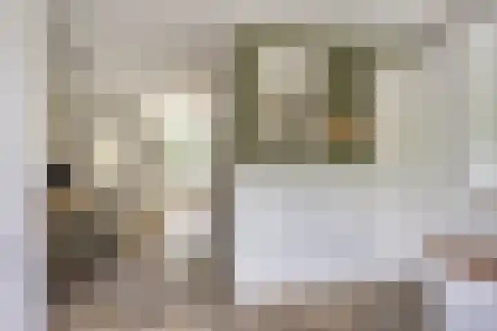 Kleingouw 202 a Andijk thumbnail 11