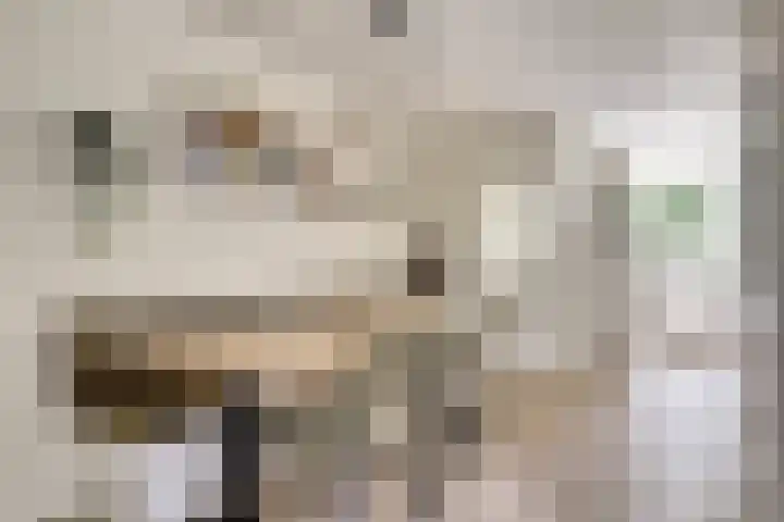 Kleingouw 202 a Andijk thumbnail 12
