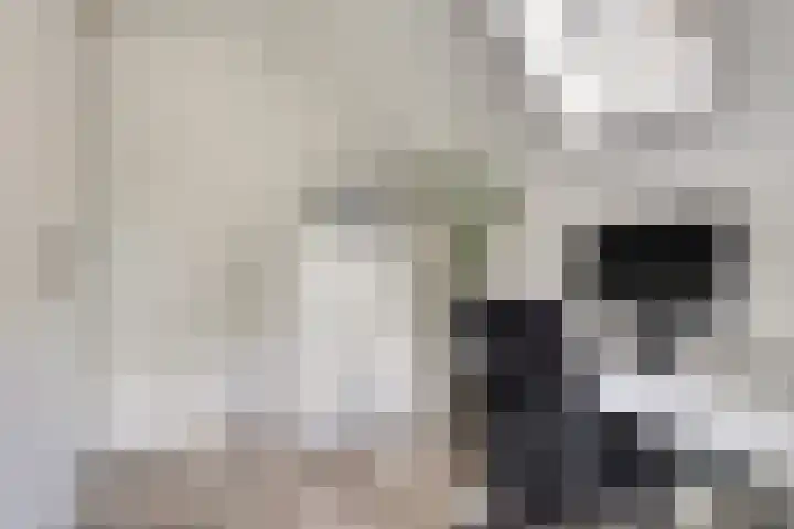 Kleingouw 202 a Andijk thumbnail 20