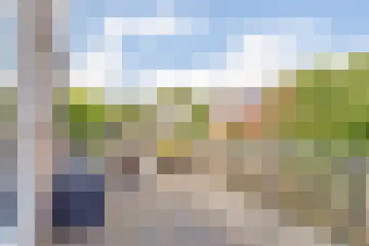 Kleingouw 202 a Andijk thumbnail 29