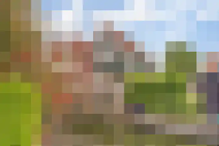 Kleingouw 202 a Andijk thumbnail 30