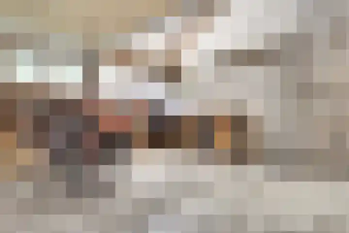 Kleingouw 202 a Andijk thumbnail 31