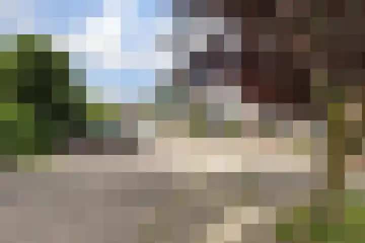 Kleingouw 202 a Andijk thumbnail 34